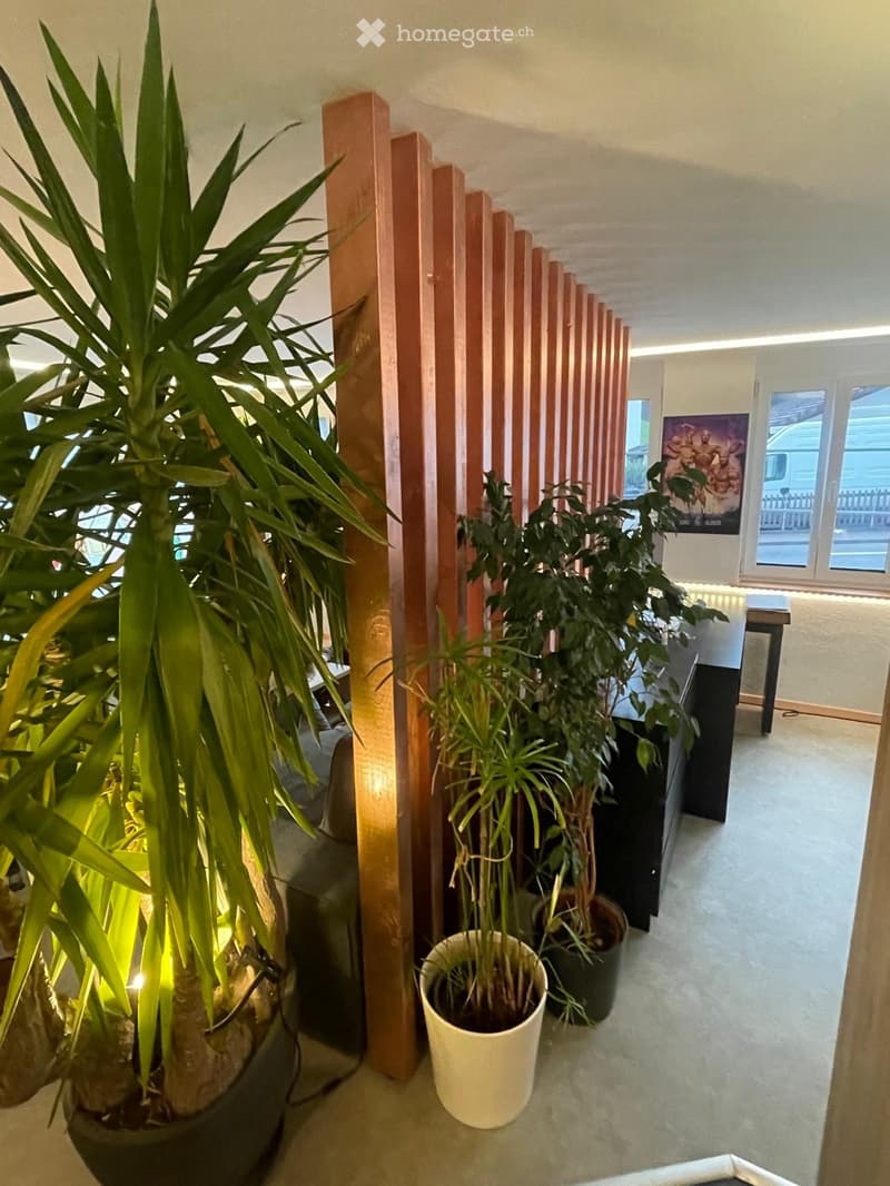 1-Zimmer-Wohnung in Fischenthal (2)