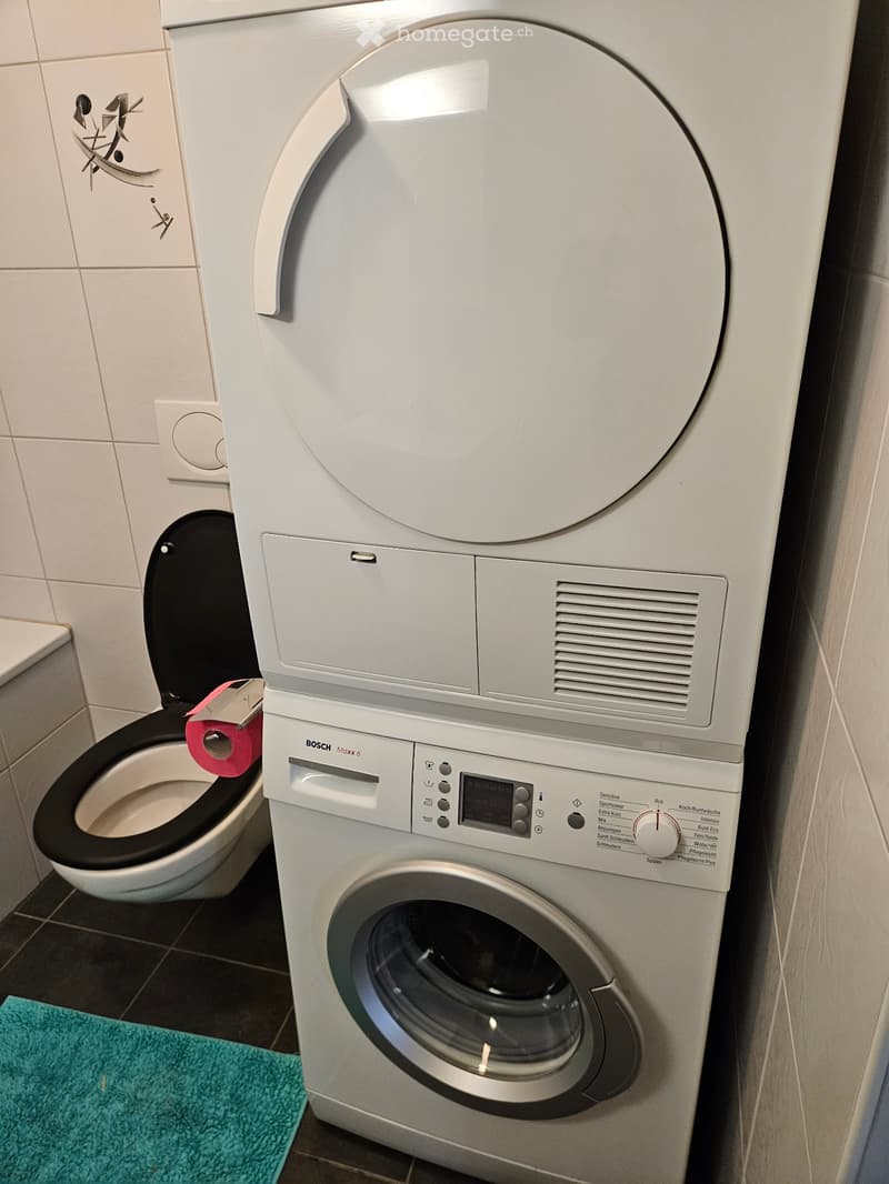 1-Zimmer-Wohnung in Fischenthal (5)