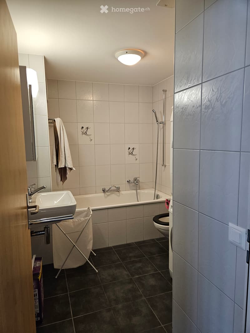 1-Zimmer-Wohnung in Fischenthal (4)