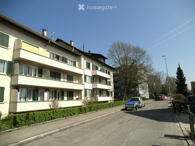 Schöne und preisgünstige 3.5-Zimmer-Wohnung in Schaffhausen (1)