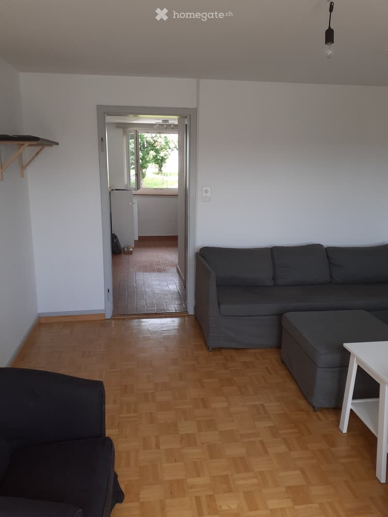 Schöne und preisgünstige 3.5-Zimmer-Wohnung in Schaffhausen (3)