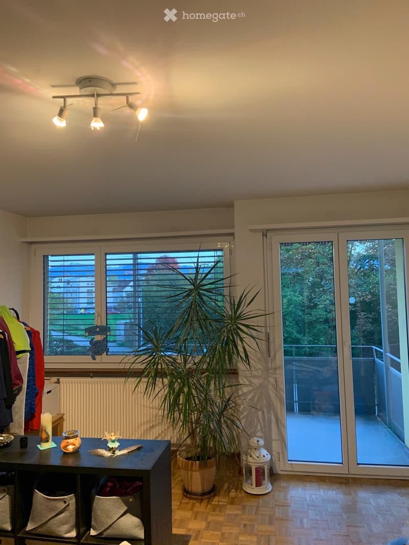 Wunderschöne 1-Zimmerwohnung mit grossem Balkon (5)