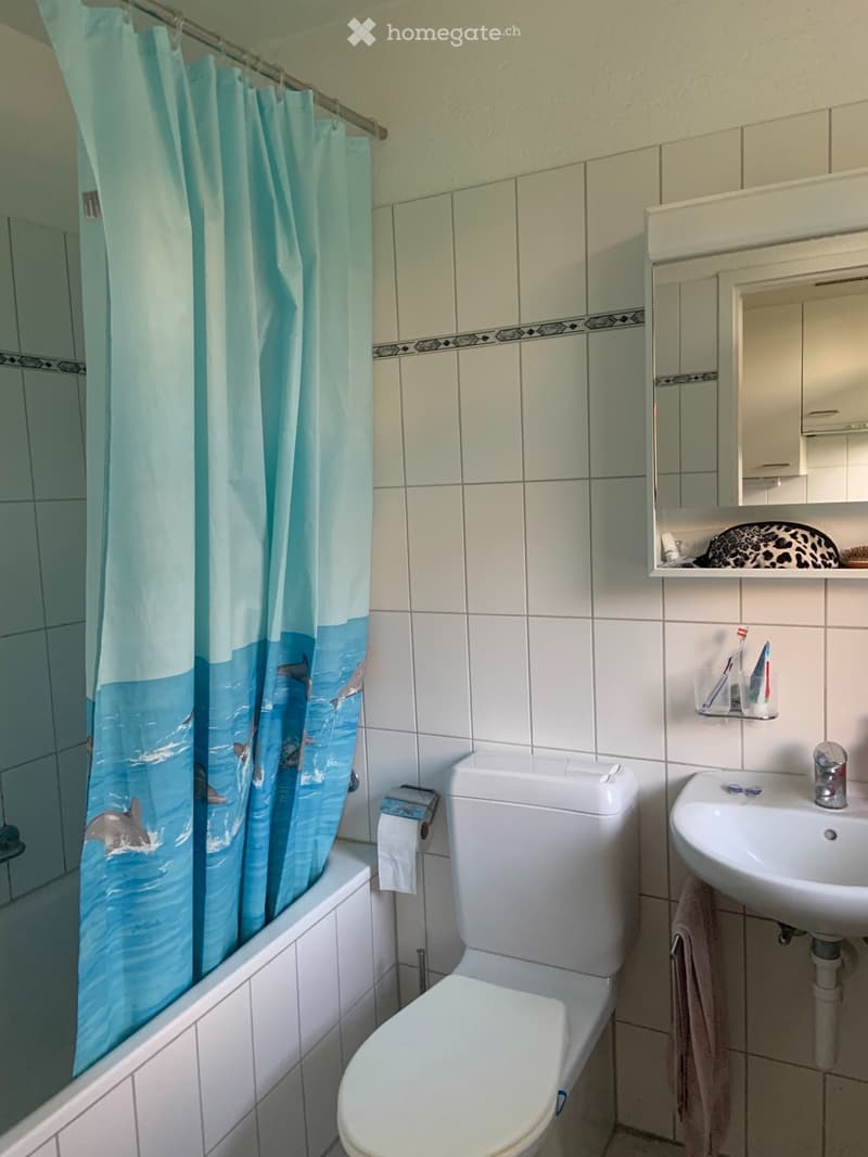 Wunderschöne 1-Zimmerwohnung mit grossem Balkon (3)