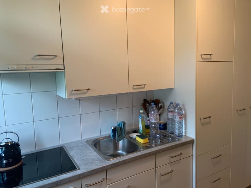 Wunderschöne 1-Zimmerwohnung mit grossem Balkon (4)
