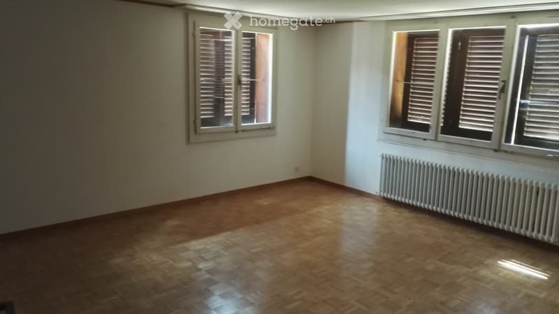 Sie suchen eine aussergewöhnliche Parterrewohnung (4)