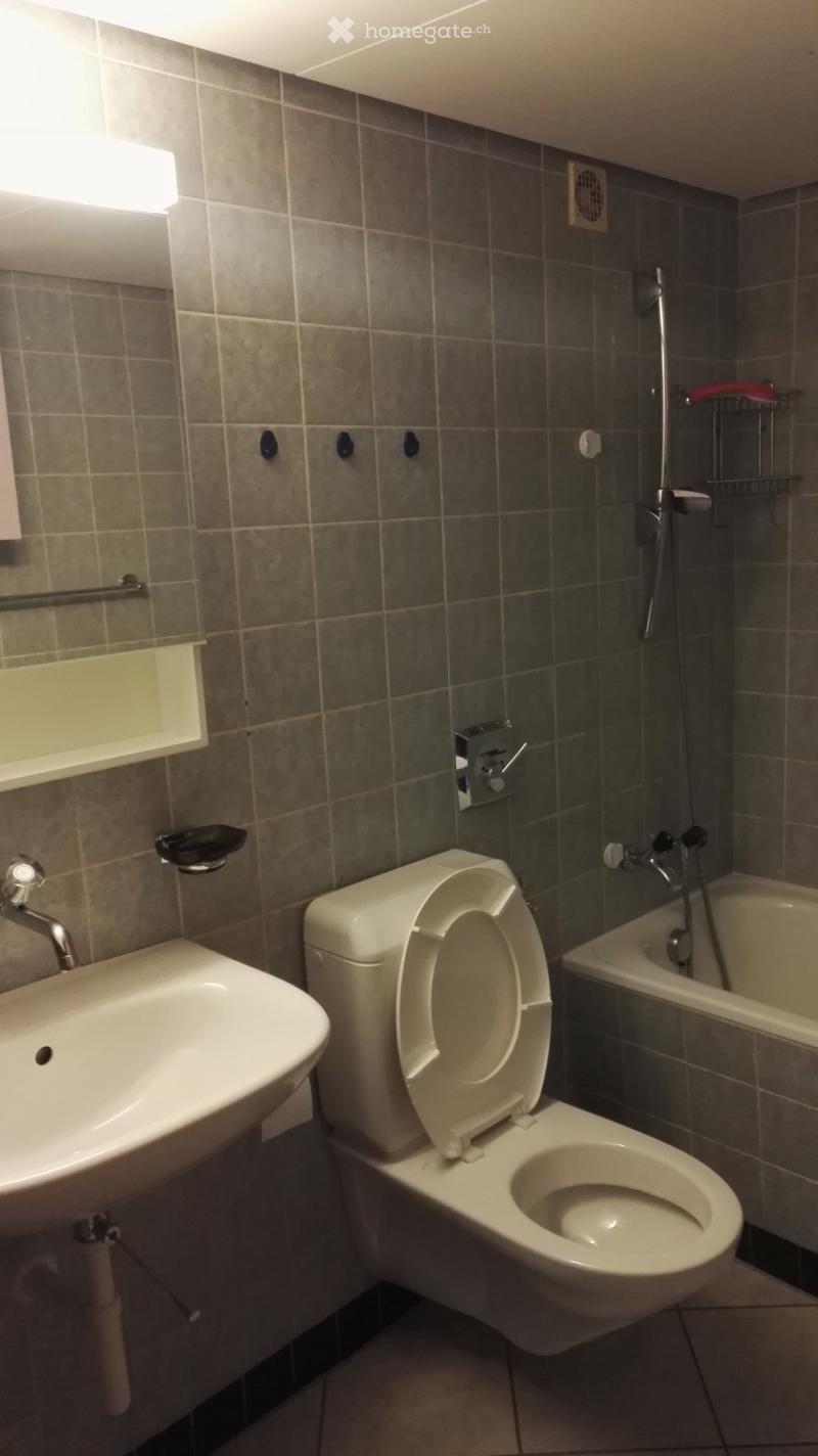 Sie suchen eine aussergewöhnliche Parterrewohnung (5)