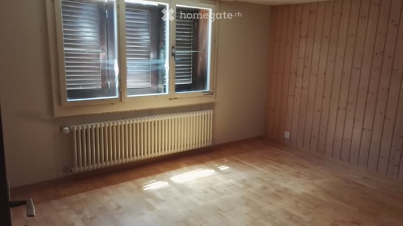 Sie suchen eine aussergewöhnliche Parterrewohnung (3)