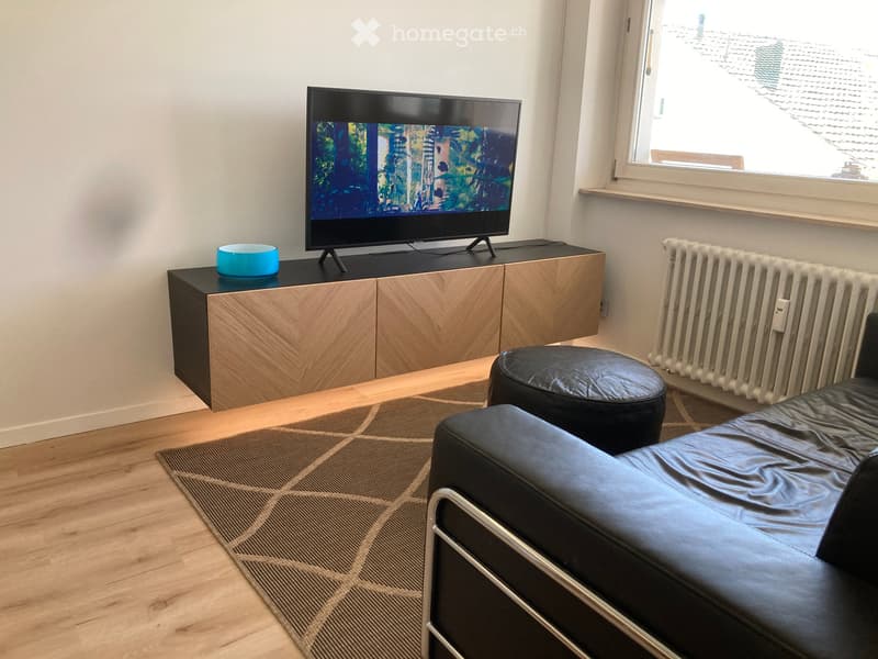 Frisch renovierte Möbelierte Wohnung // Top Lage in Basel (1)