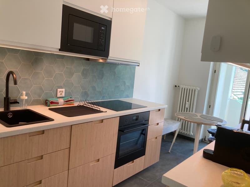 Frisch renovierte Möbelierte Wohnung // Top Lage in Basel (5)