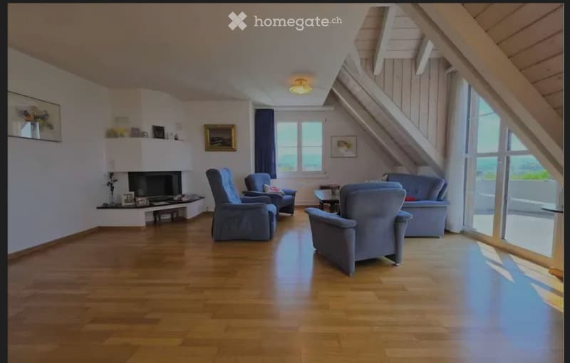 Schöne Dachwohnung mit herrlicher Aussicht (2)