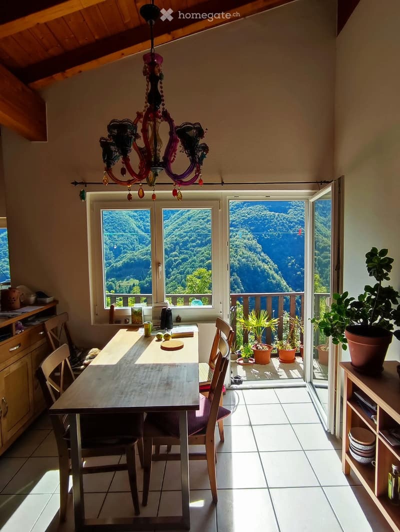 Sonnige und ruhige 4 Zimmer Wohnung in Loco (1)