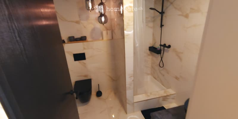 Sanierte Studiowohnung inkl Südbalkon und Aussenstellplatz (5)
