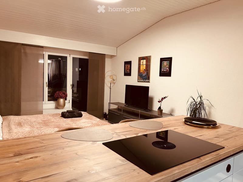 Sanierte Studiowohnung inkl Südbalkon und Aussenstellplatz (3)