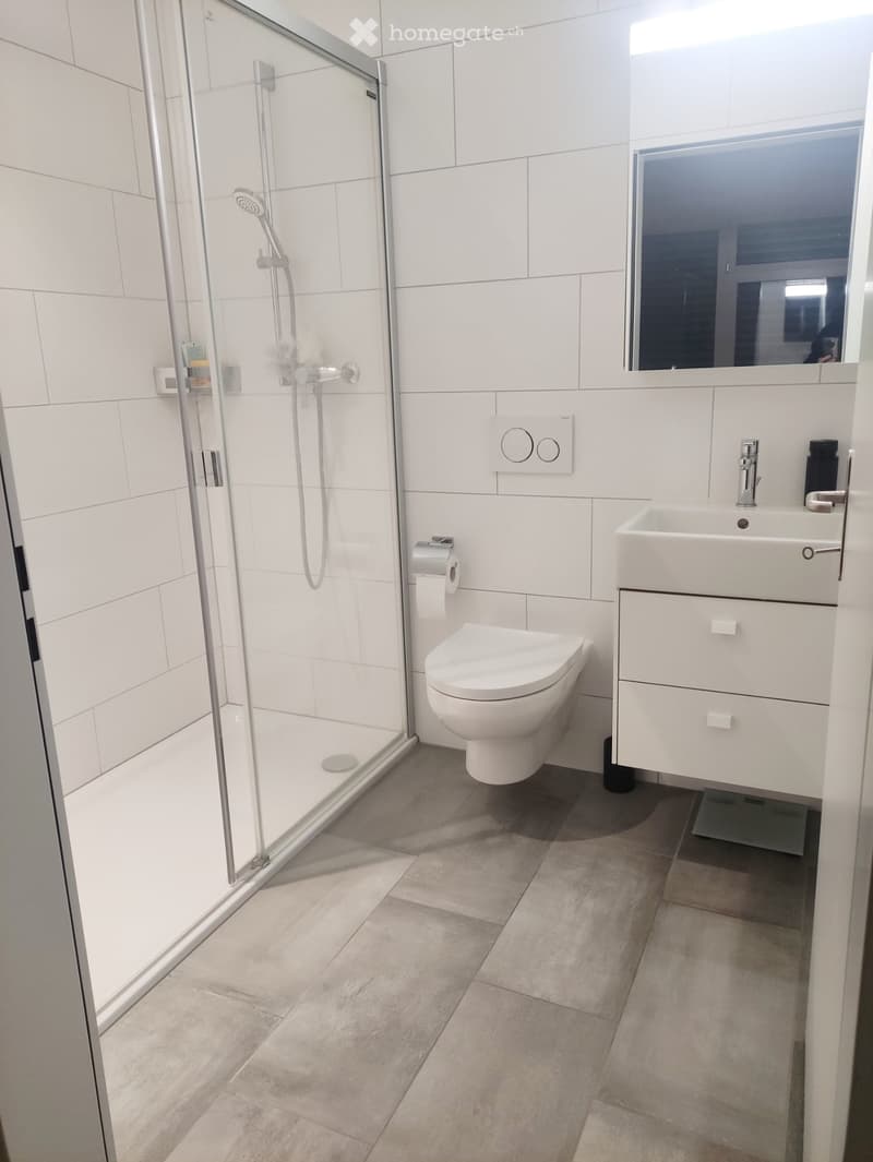 Modernes und sehr helles Studio im Zentrum von Wettingen (5)