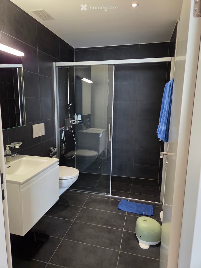 grosszügige 4.5-Zimmer-Wohnung ca 140m2  in Gossau SG (3)