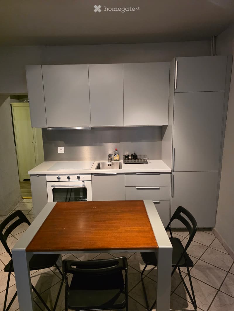 Monolocale arredato a Contone  CHF 900. (3)