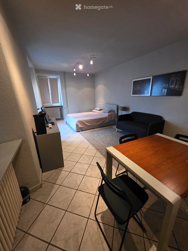 Monolocale arredato a Contone  CHF 900. (2)