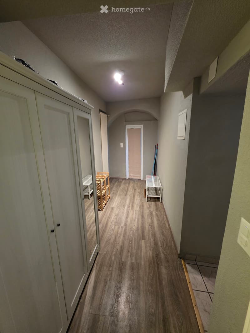 Monolocale arredato a Contone  CHF 900. (4)