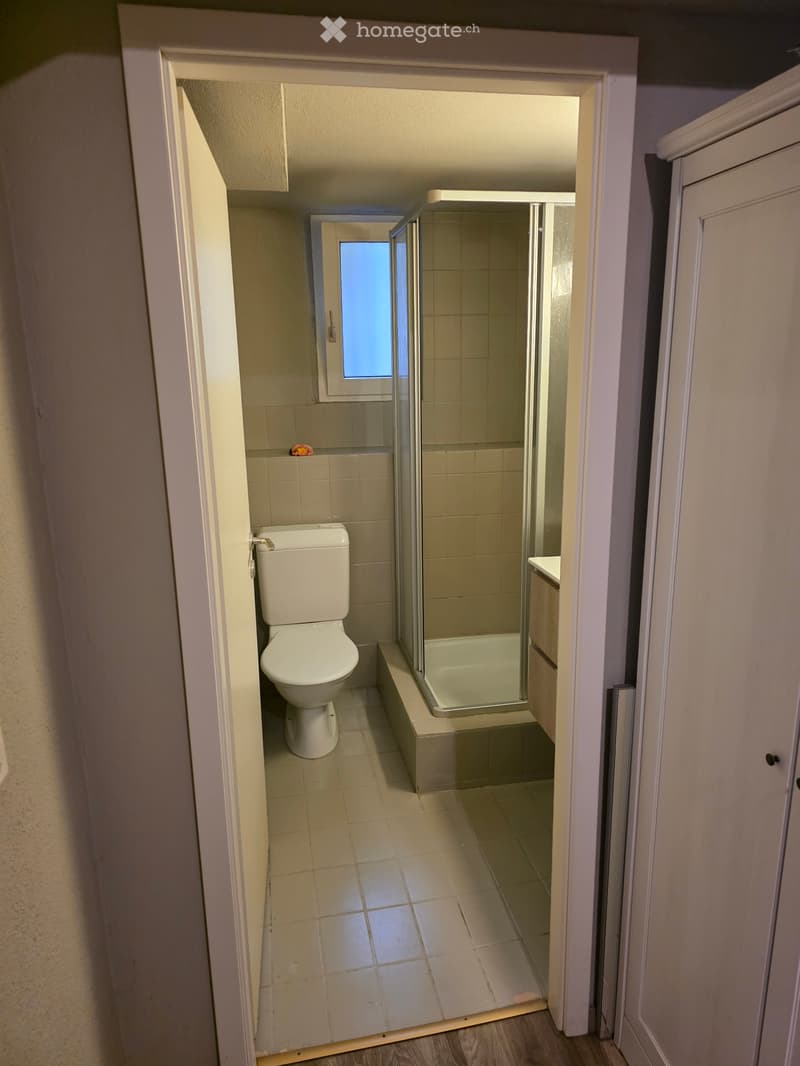 Monolocale arredato a Contone  CHF 900. (5)