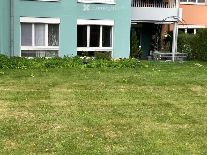 Zimmer zu vermieten (5)