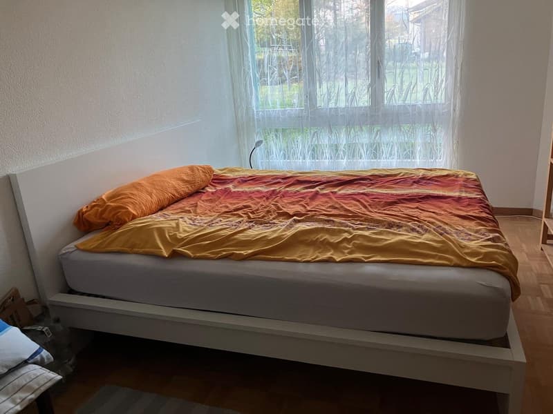 Zimmer zu vermieten (4)