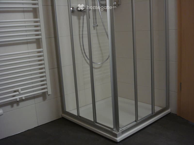 3.5-Zimmer-Dachwohnung mit Terrasse im 1.Stock (3)