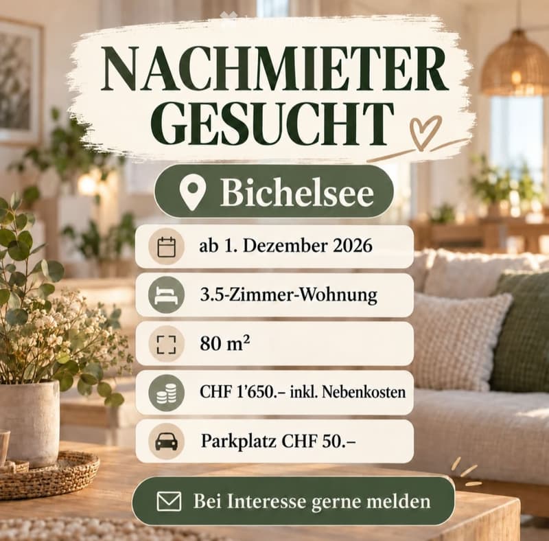 Schöne Dachwohnung (1)