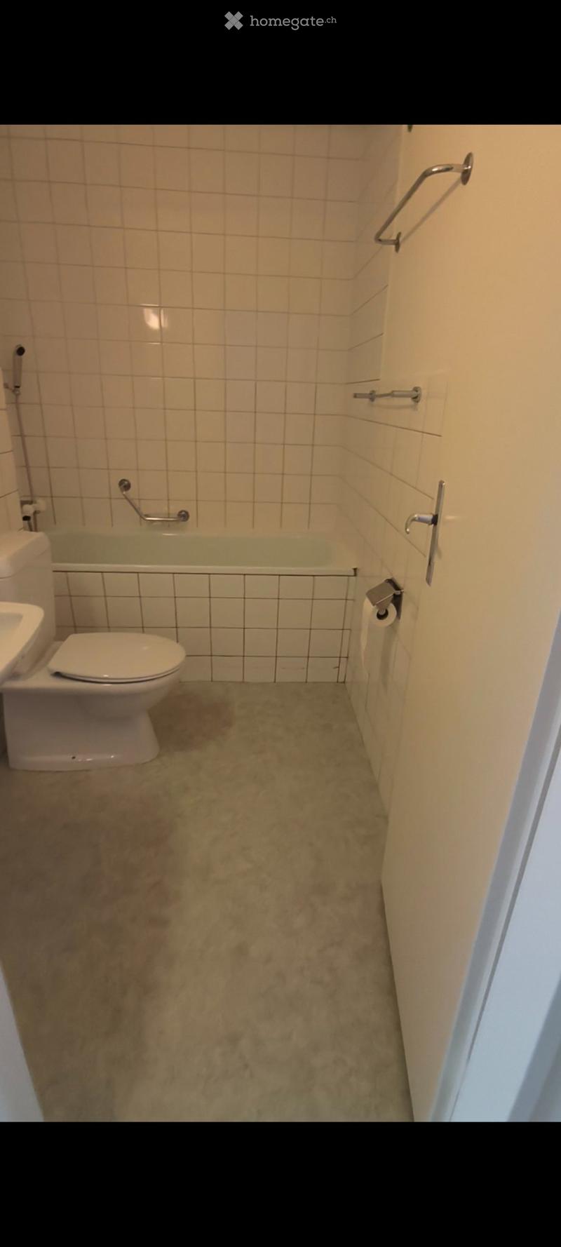 Nachmieter gesucht: helle & geräumige 3,5-Zi-Whg in Therwil (5)