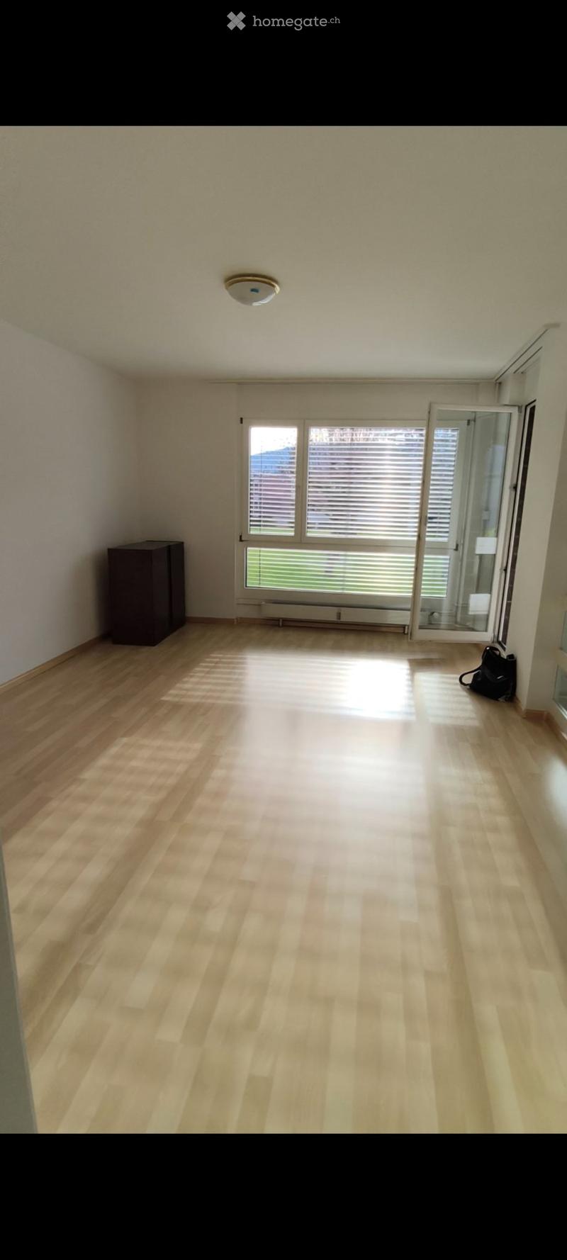 Nachmieter gesucht: helle & geräumige 3,5-Zi-Whg in Therwil (1)
