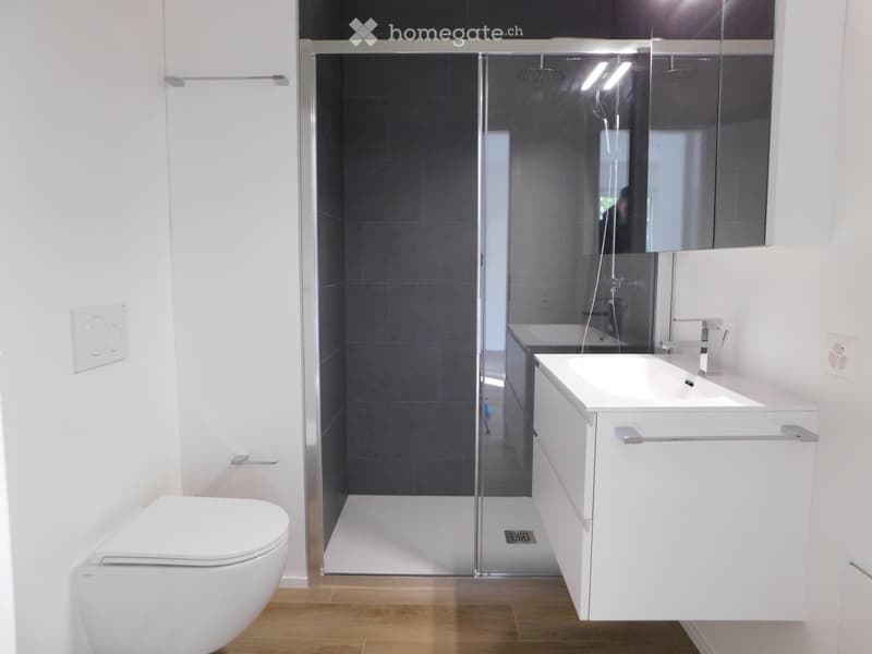 Appartamento 2.5 locali a Lamone (4)