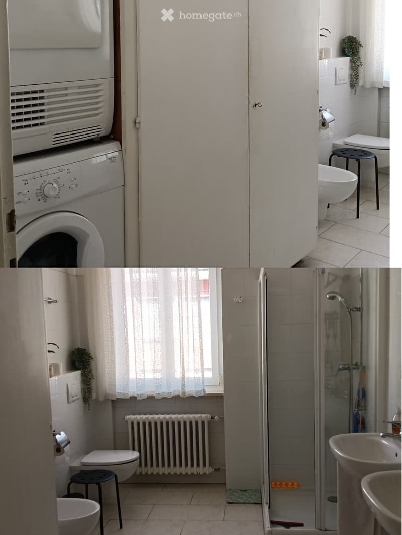 Cercasi subentrate Appartamento 5,5 locali (5)
