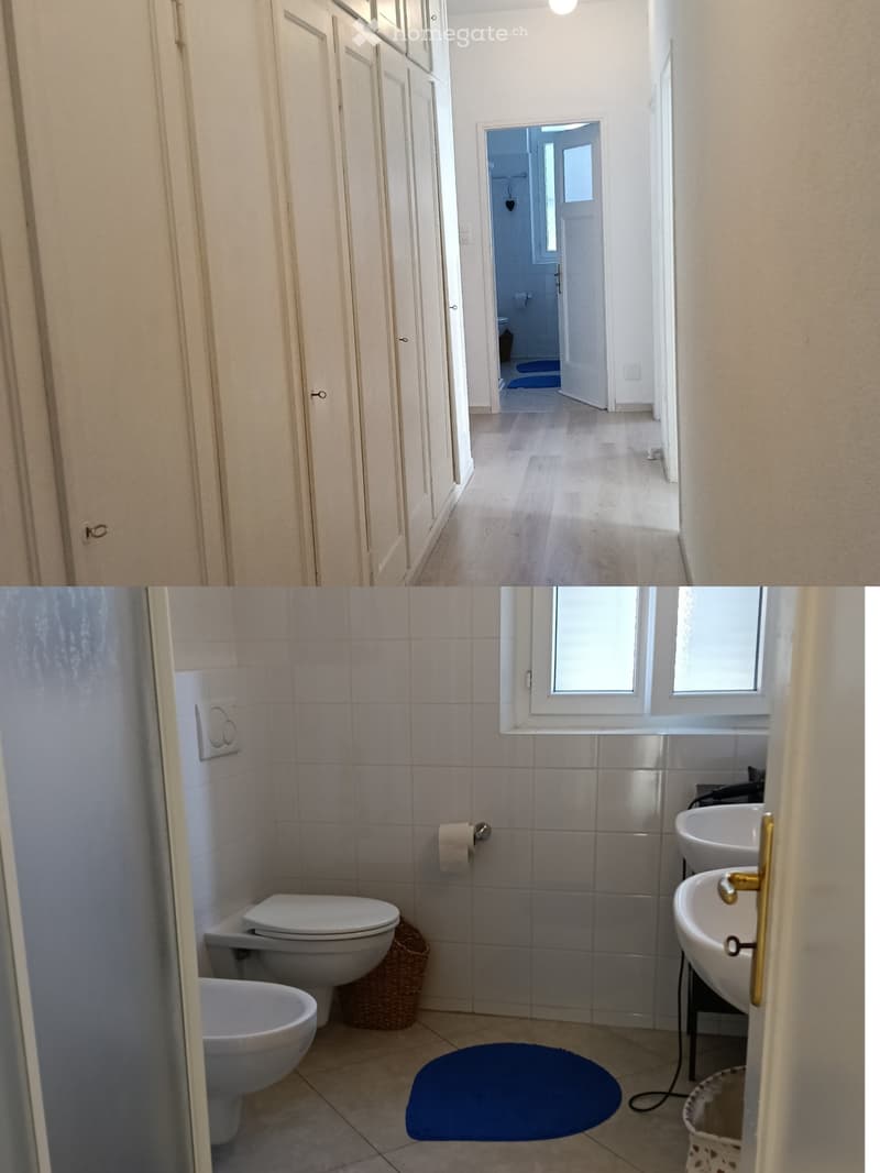 Cercasi subentrate Appartamento 5,5 locali (4)