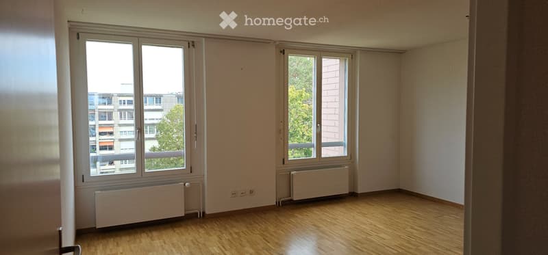 3.5 ehm. 4.5 Zi. 120m2 BW, lichtdurchflutet, ruhig, Attika (6)