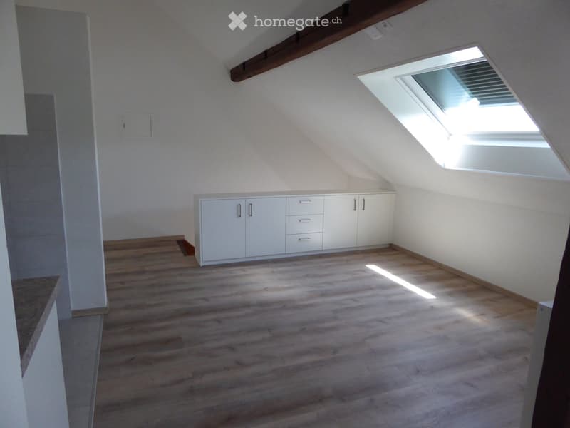 3 Zimmer Dachwohnung 2. Stock (3)