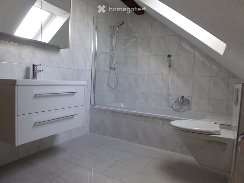 3 Zimmer Dachwohnung 2. Stock (4)