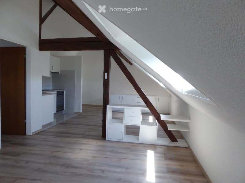 3 Zimmer Dachwohnung 2. Stock (2)