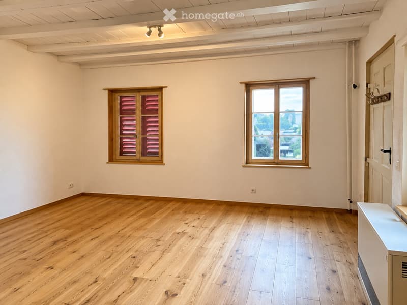 Studio Wohnung im Schloss (2)