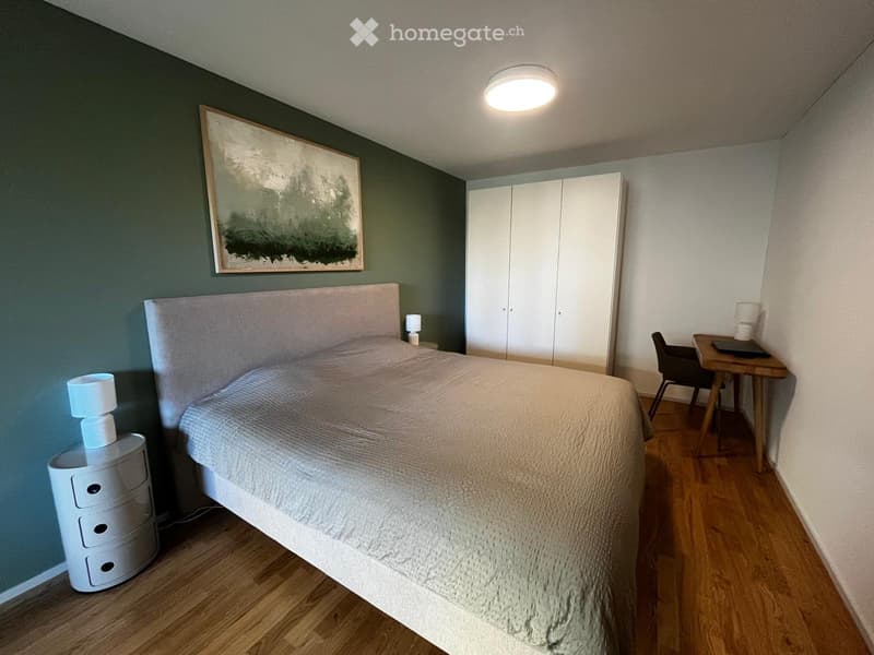 Moderne 2.5-Zimmer-Wohnung in Luzern ab sofort zu vermieten (5)