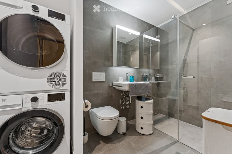 Moderne 2.5-Zimmer-Wohnung in Luzern ab sofort zu vermieten (4)