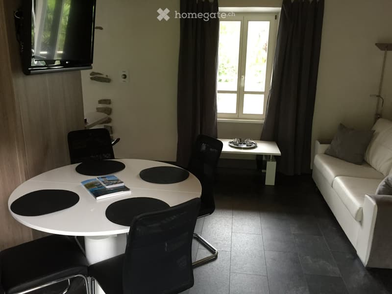 Möblierte 2.5z. Wohnung zu Vermieten (1)