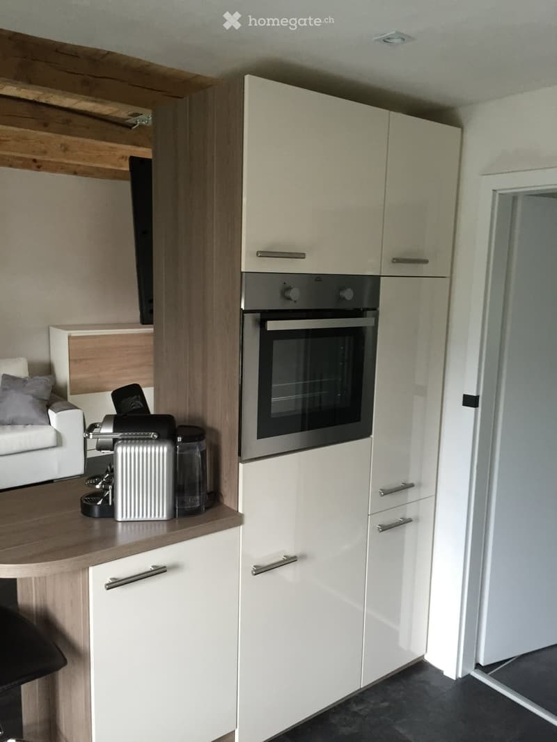 Möblierte 2.5z. Wohnung zu Vermieten (3)