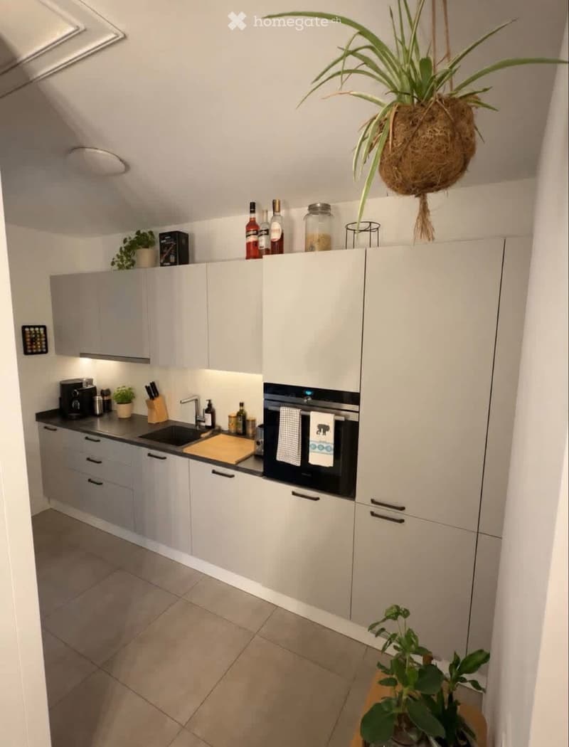 Cerco subentrante 2.5 con giardino (5)
