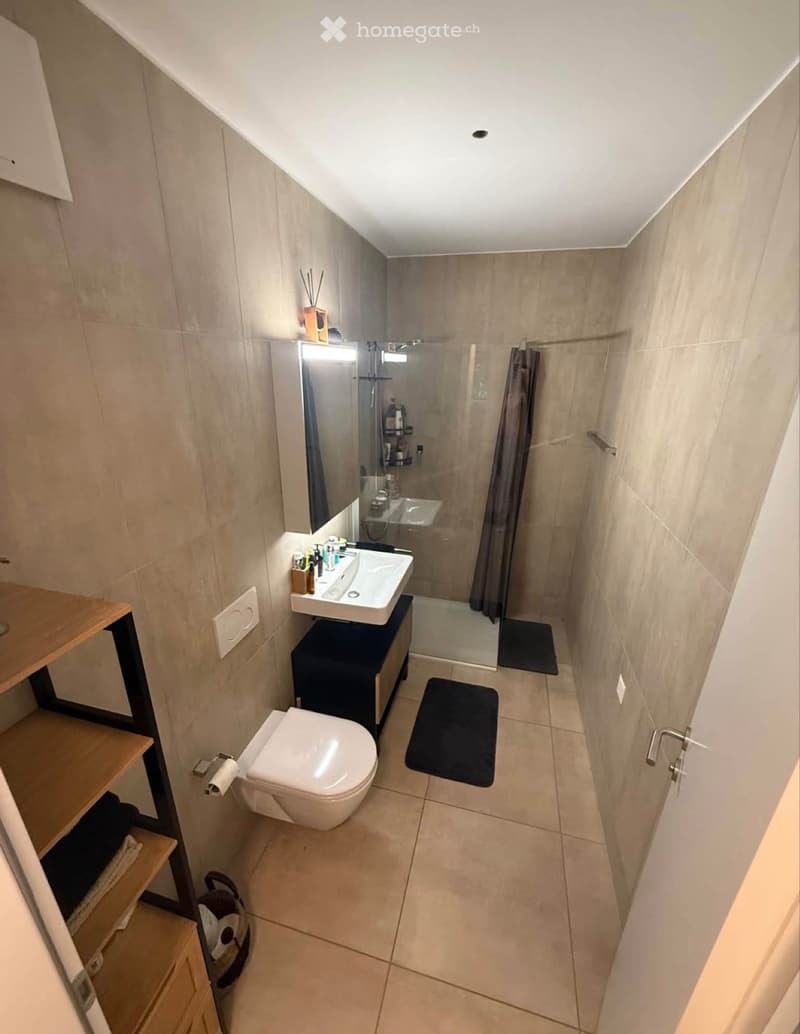 Cerco subentrante 2.5 con giardino (3)