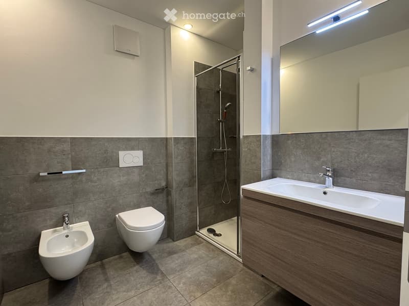 MASSAGNO - Appartamento 3.5 locali in affitto, 90 m² (3)