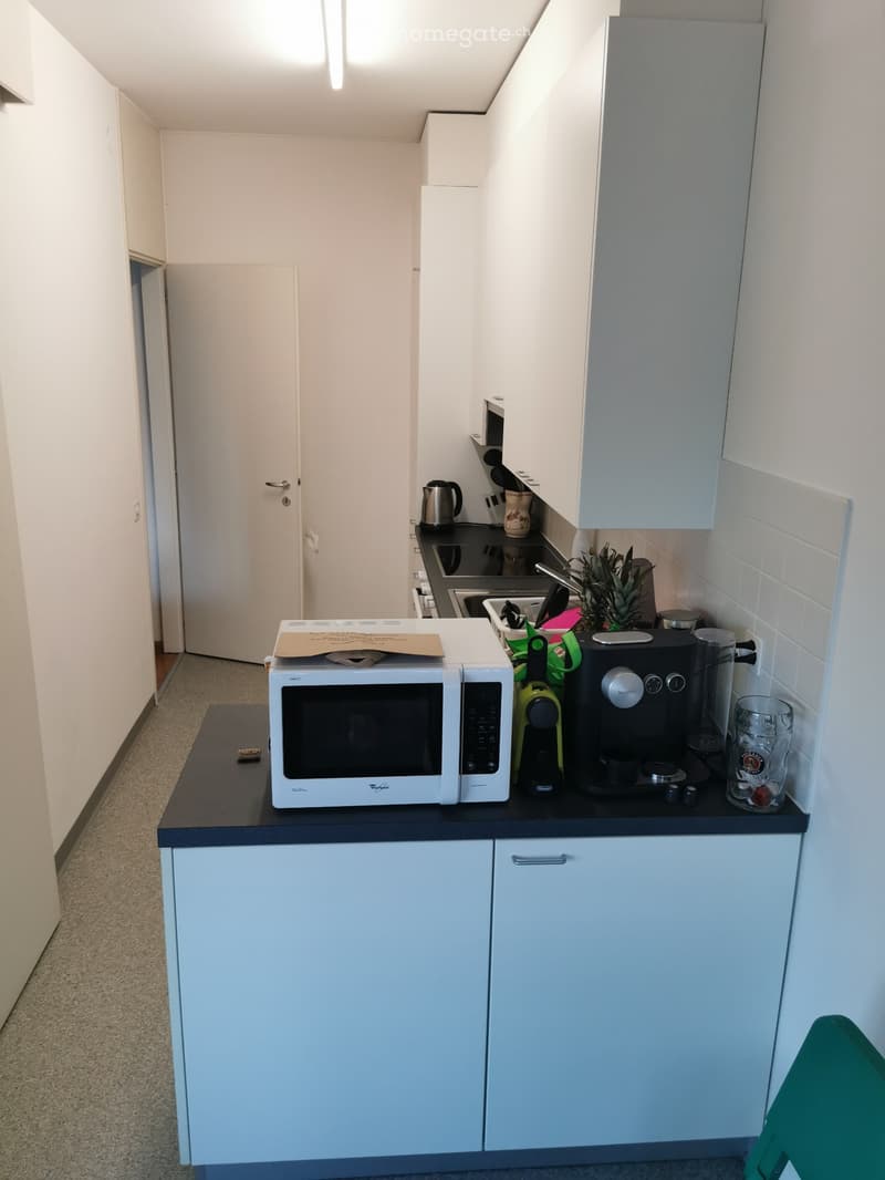 Cerco subentrante per appartamento a lugano (3)