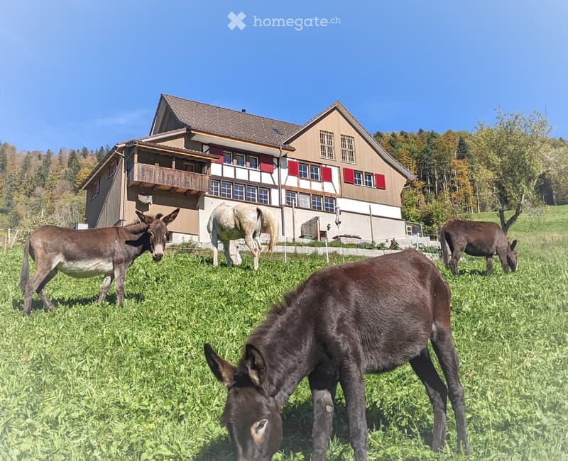 4.5 Zimmer Doppeleinfamilienhaus (1)