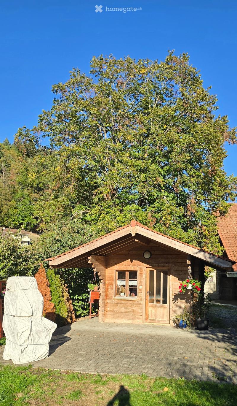 4.5 Zimmer Wohnung im 1.OG (5)
