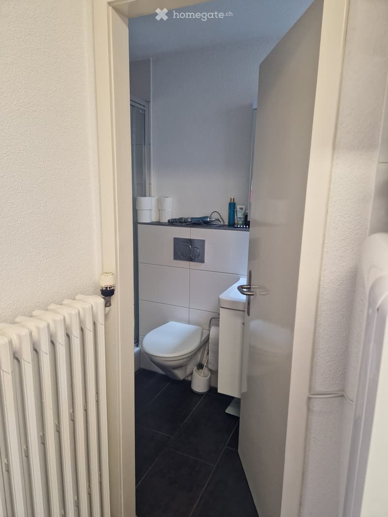 1-Zi Panoramablick-Wohnung (4)