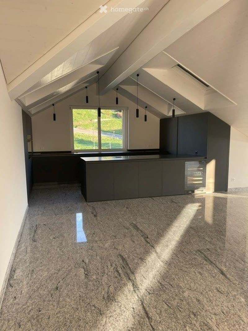 3.5 Attika Wohnung (2)