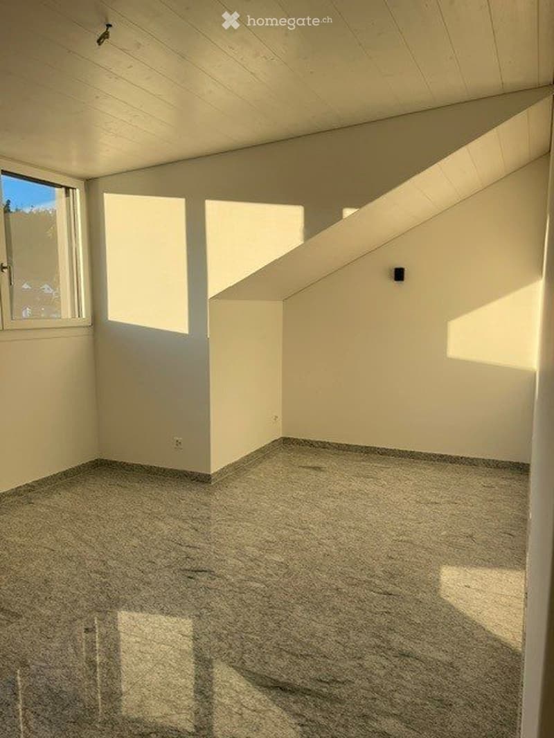 3.5 Attika Wohnung (5)